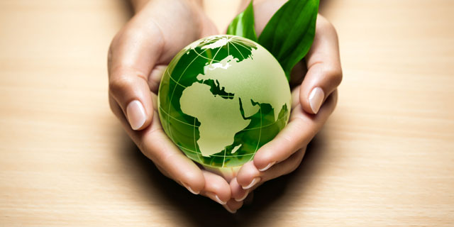 Catorze Parquets, Barnices ecológicos
